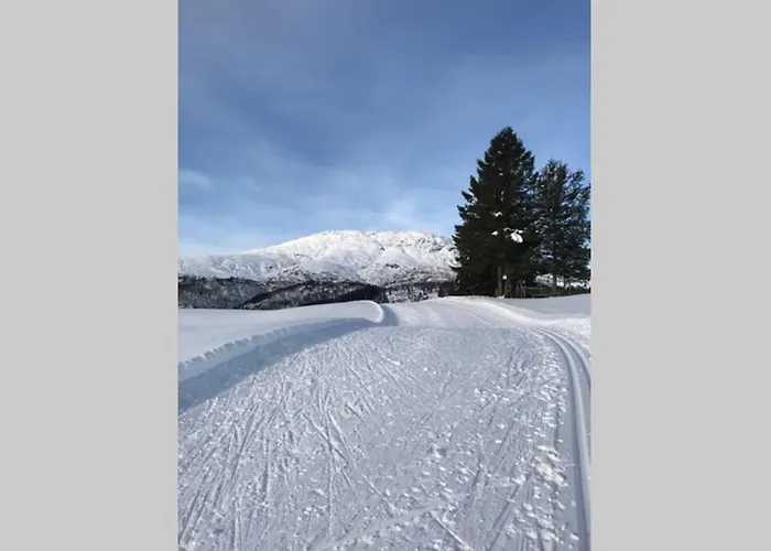 Apartment Panoramaresort In Hardangerfjord With Boat And Sauna To Rent - Seaside For 2 Personer